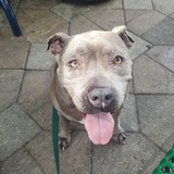 Entry image for Luna 