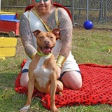 Entry image for Flash