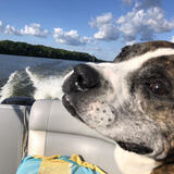 Entry image for Miller