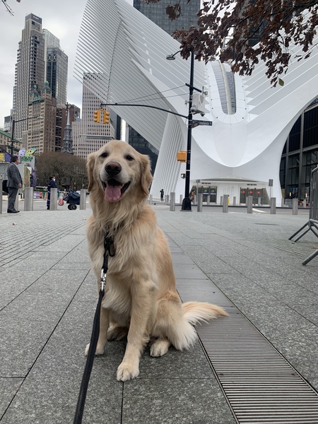 Entry image for Olek. Clicking this image will show a larger photo