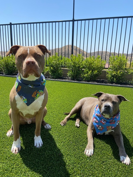 Entry image for Mack & Sally . Clicking this image will show a larger photo