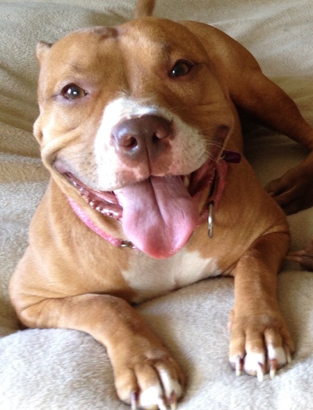 Entry image for Emma. Clicking this image will show a larger photo