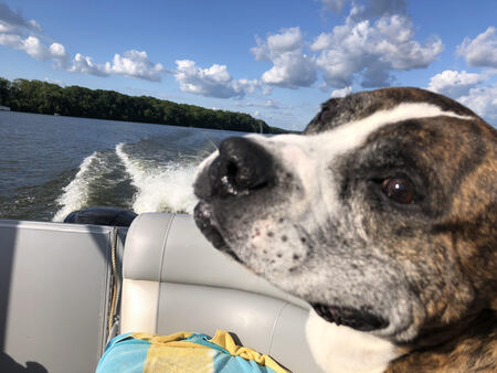 Entry image for Miller. Clicking this image will show a larger photo