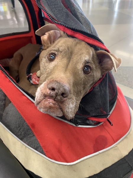 Entry image for Aladdin. Clicking this image will show a larger photo