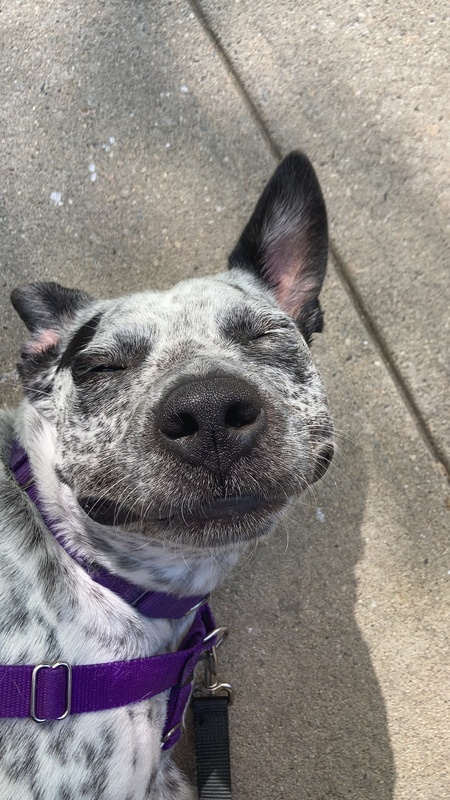 Entry image for Tom. Clicking this image will show a larger photo