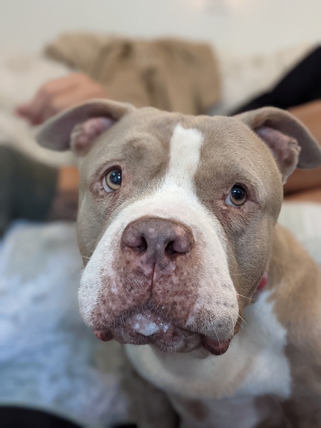 Entry image for Jolene. Clicking this image will show a larger photo