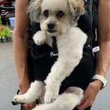 Entry image for Austin