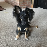 Entry image for Maggie