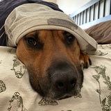 Entry image for Linkin