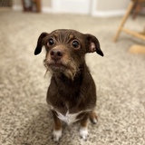 Entry image for Charlie