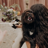 Entry image for Nigel