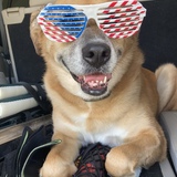 Entry image for Ginger