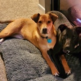 Entry image for Loki and marvin