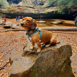 Entry image for Wally