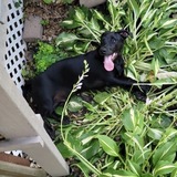 Entry image for Tucker