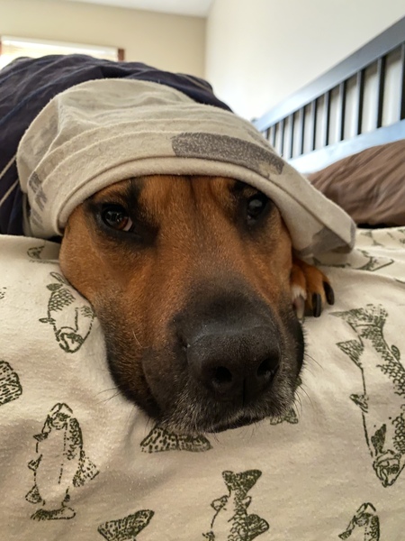 Entry image for Linkin. Clicking this image will show a larger photo