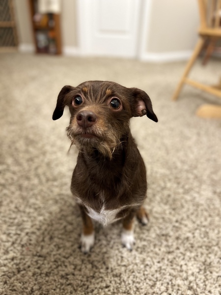 Entry image for Charlie. Clicking this image will show a larger photo
