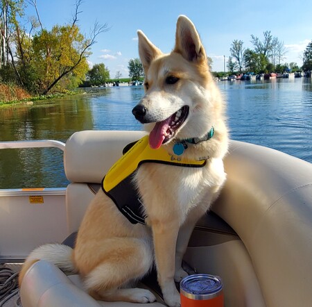 Entry image for Sasha. Clicking this image will show a larger photo