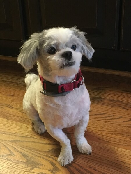 Buster