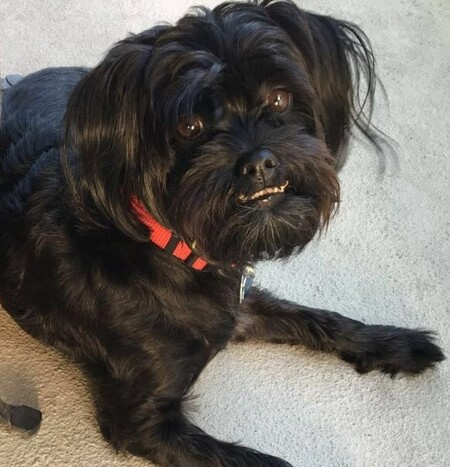 Oscar