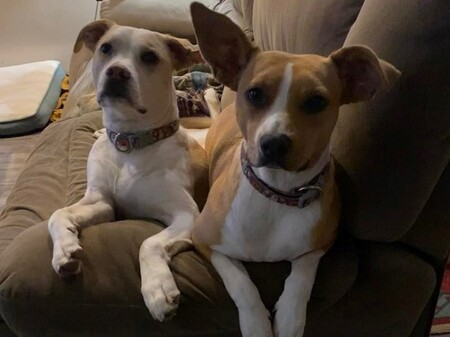 Cooper and Annie