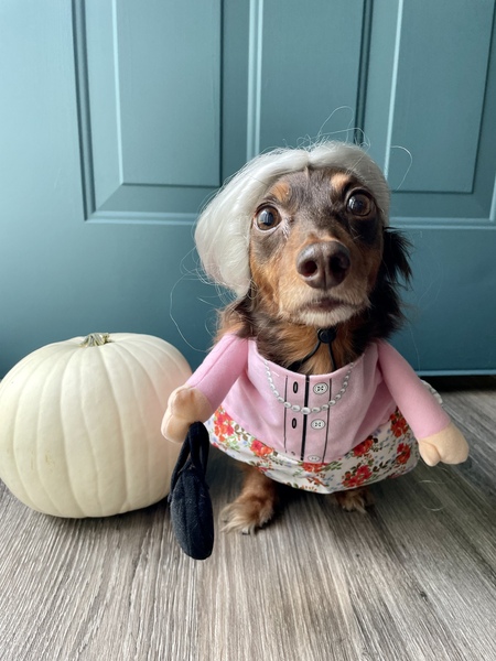 Penny