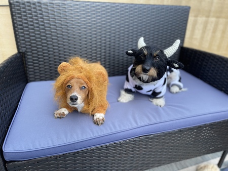 Minnie & Benji