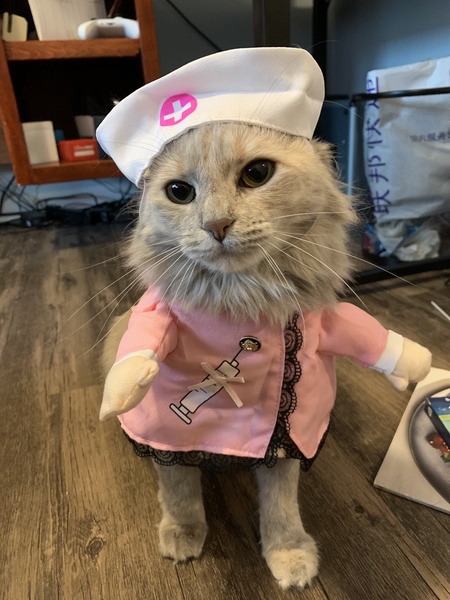 Ari 