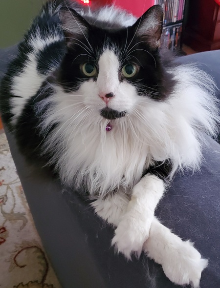 Jade