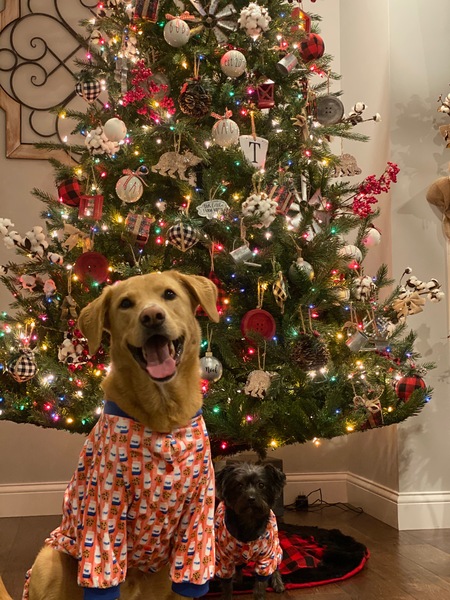 Jake & Macy