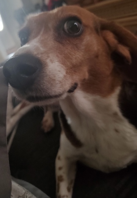 Zoey