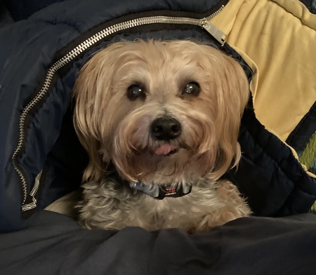 Snickers