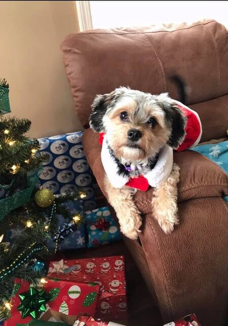 Maggie