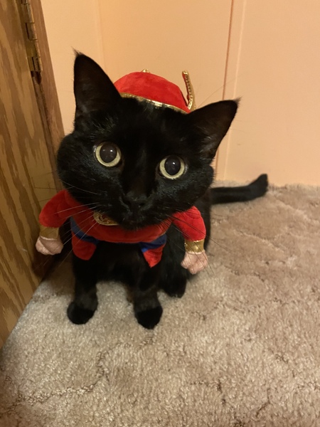 Winnie