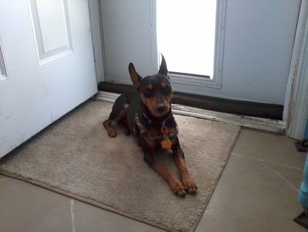 Tyson