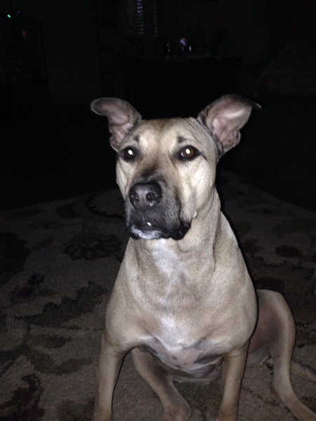 Abbie