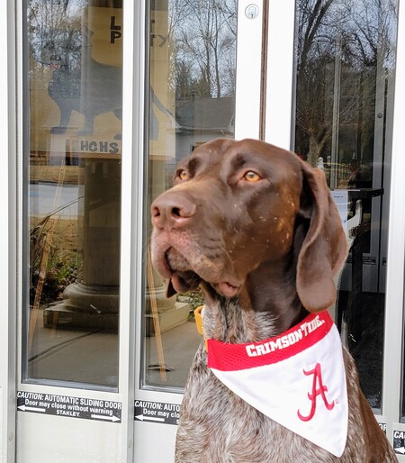 Waylon (Roll Tide)