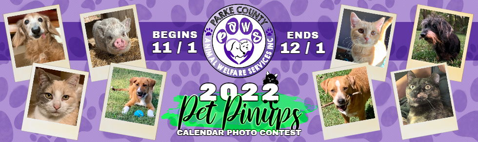 Banner for PAWS 2022 "PET PIN-UPS" Calendar Photo Contest