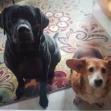Entry image for Willie and Daisy Mae