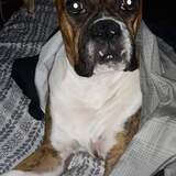 Entry image for Ali 