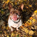 Entry image for Maggie Mae