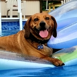 Entry image for Charlie