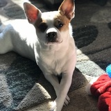 Entry image for Bandit Akers