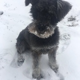 Entry image for Jack
