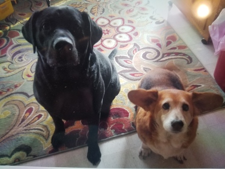 Entry image for Willie and Daisy Mae. Clicking this image will show a larger photo