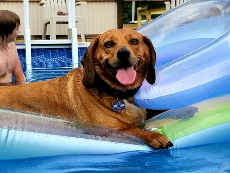 Entry image for Charlie. Clicking this image will show a larger photo