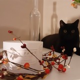 Entry image for Truffles 