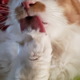 Entry image for Julian 