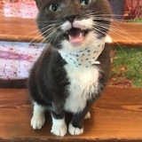 Entry image for Carolina Grace