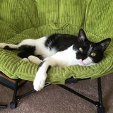 Entry image for Mr. Harold